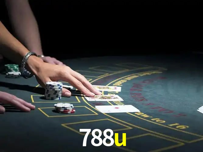 788u Salvador - Support
